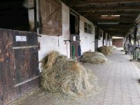 Pferdebox zu vermieten Rheinland-Pfalz - Zweibrücken Vorschau
