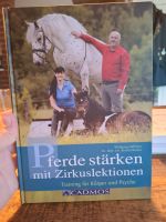 Pferde stärken mit Zirkuslektionen Kreis Ostholstein - Ahrensbök Vorschau