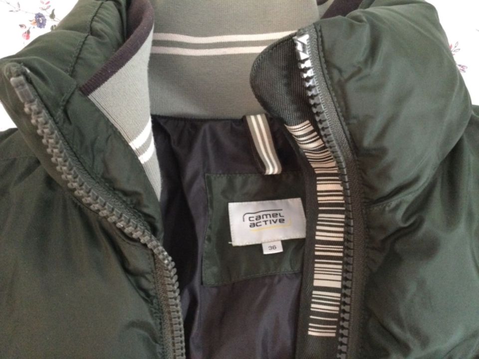 Winterjacke Camel Active, khaki in Vierkirchen