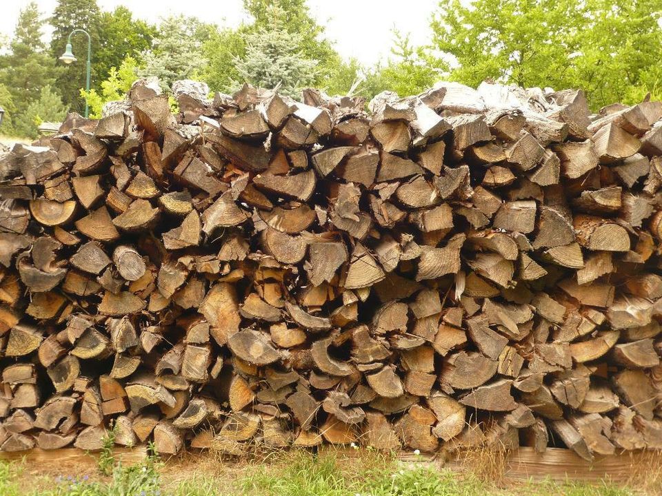 Baumdienst*Baumpflege*Baumfällung*Stubbenfräsen*Brennholz in Neu-Zittau