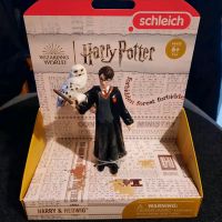 Harry & Hedwig - Schleich Rheinland-Pfalz - Nastätten Vorschau