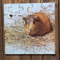 Meerschweinchen Puzzle auf Holz Niedersachsen - Northeim Vorschau