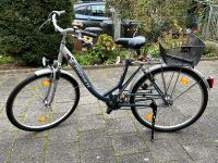 Damenfahrrad 28 Zoll Hessen - Langenselbold Vorschau