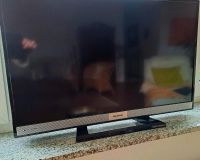 TV von Grundig HDMI tauglich 32 Zoll Rheinland-Pfalz - Koblenz Vorschau