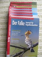 DER FALKE, Journal für Vogelbeobachter, Jahrgang 2022, neuwertig Hessen - Solms Vorschau