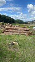 Brennholz Kaminholz aus umliegenden Wäldern Thüringen - Ilmenau Vorschau