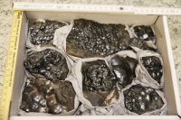 Mineralien Sammlung Kiste Psilomelan aus dem Harz Aubing-Lochhausen-Langwied - Aubing Vorschau