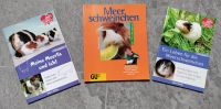 Bücher über Meerschweinchen Baden-Württemberg - Gingen an der Fils Vorschau