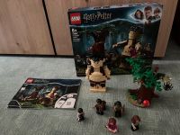 Lego Harry Potter 75967 Forbidden Forest: Umbridge's Encounter Bayern - Ingolstadt Vorschau