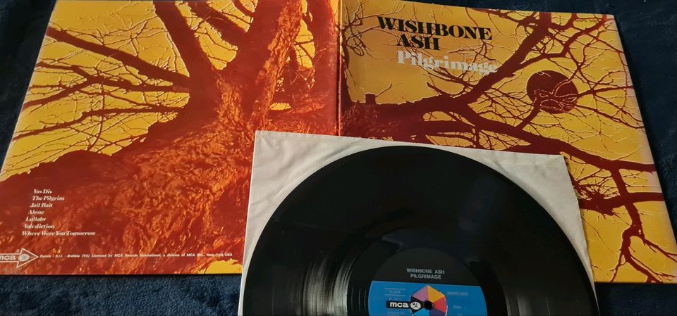 3 x Wishbone Ash Schallplatte / Vinyl 1971 aus LP Sammlung in Dortmund