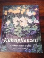 BUCH - Kübelpflanzen - Blühende Ideen das ganze Jahr Nordrhein-Westfalen - Swisttal Vorschau