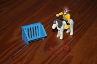 Playmobil 3119 Kind Mädchen mit Pony Harburg - Hamburg Heimfeld Vorschau