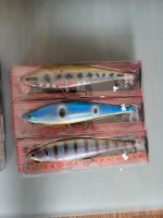 Wobbler,Jerkbait Lucky Craft LL Pointer 200 ( kein Illex) Sachsen-Anhalt - Köthen (Anhalt) Vorschau