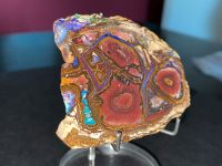 Große Yowah Opal Scheibe Australien 78g Nordrhein-Westfalen - Brühl Vorschau