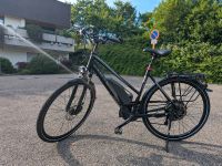 Bulls Lavida Plus E-Bike / Pedelec, Elektronikprobleme Baden-Württemberg - Korb Vorschau