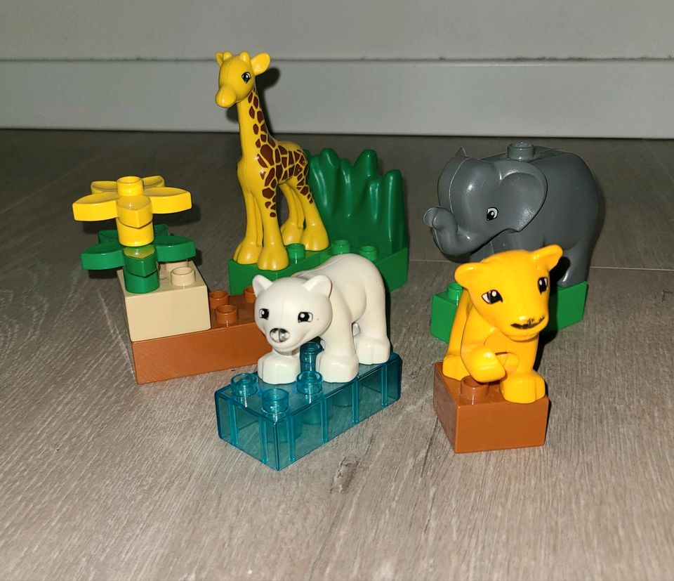 Lego duplo kleiner Zoo in Ennepetal