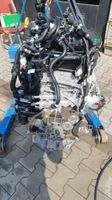 MOTOR VW T6 CXH CXHA CXF CXFA CXG CXGB 2.0TDI TRANSPORTER Nordrhein-Westfalen - Schloß Holte-Stukenbrock Vorschau