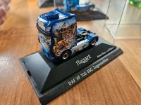 Herpa DAF XF  NUGGET Selten Thüringen - Remptendorf Vorschau