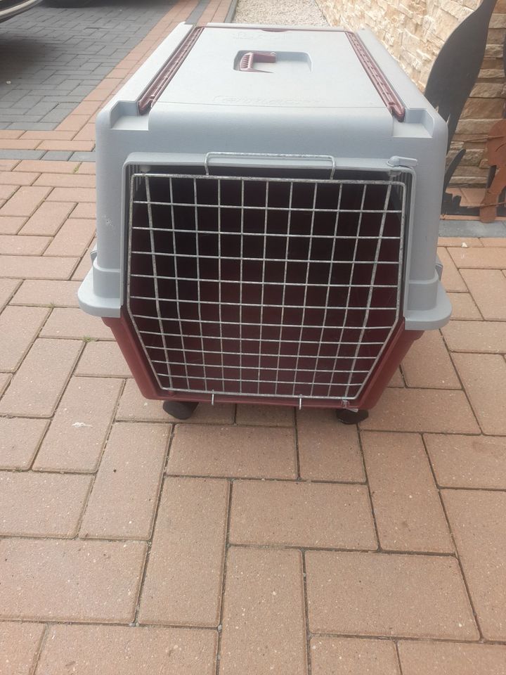 Hunde Katzen Box Tiertransportbox in Bremerhaven