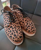 New Look Schuhe Schnürschuhe Größe 39 Animalprint Bayern - Mönchberg Vorschau