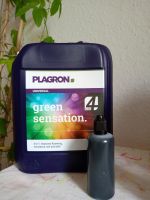 Plagron Green Sensation 100ml - Blüte Booster Blütestimulator Frankfurt am Main - Nieder-Eschbach Vorschau