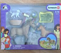 SCHLEICH 42432 - Tierbaby-Pflege Nordrhein-Westfalen - Recke Vorschau