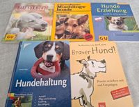 Buchpaket Hunde Hundehaltung Hundeerziehung 5x Harburg - Hamburg Eißendorf Vorschau