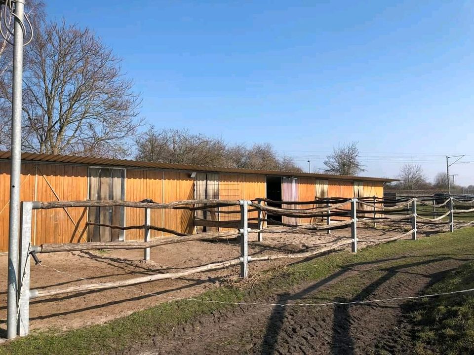 Schöne Offenstallung Paddockbox Frei in Bürstadt