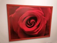 Großes Wand Bild Rose mit Holzrahmen 125 x 95 cm Bayern - Dasing Vorschau