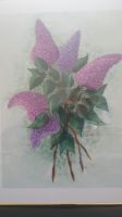 Bild - orig. Zeichnung e. Fliederartige Blütenzweige Nordrhein-Westfalen - Detmold Vorschau