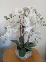 Künstliche große Orchidee mit Schale Kreis Pinneberg - Elmshorn Vorschau