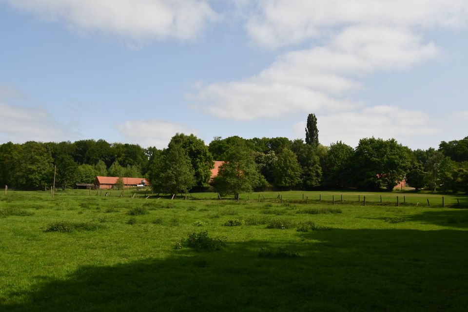 Repräsentative Hofanlage mit Nebengebäuden und ca. 17,5 ha. in traumhafter Alleinlage in Twistringen