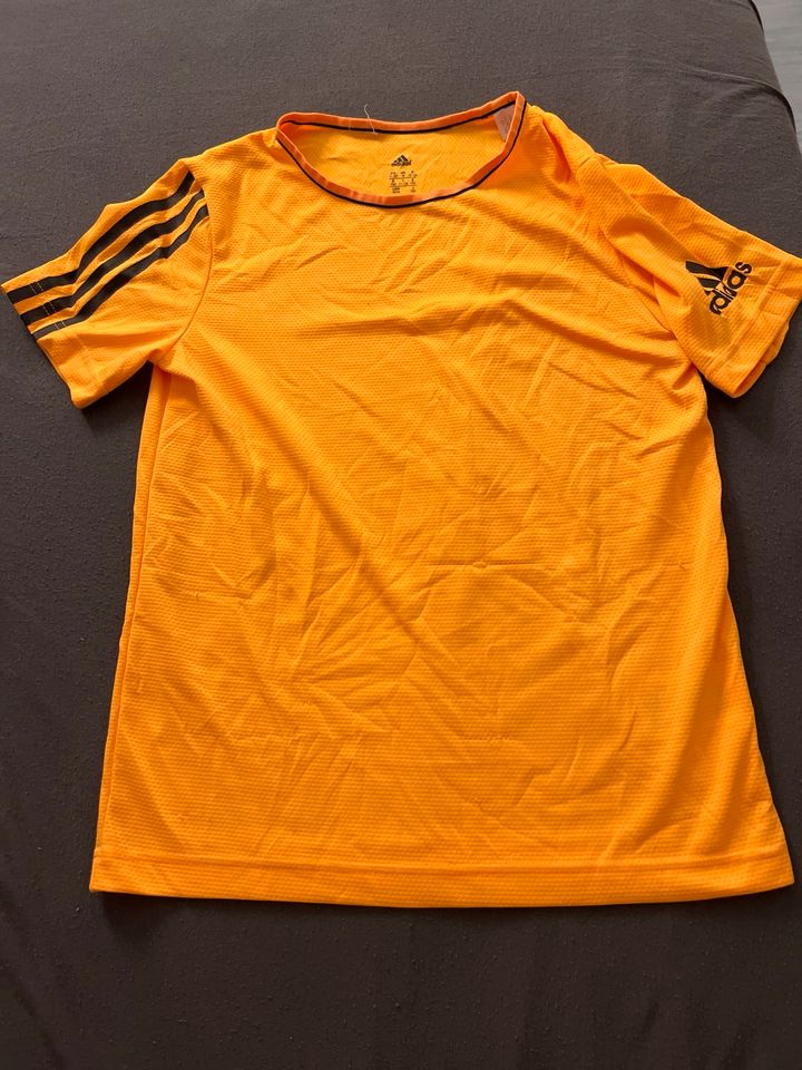 Adidas Sport Tshirt in Bochum