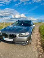 In perfektem Zustand  BMW 523 Rheinland-Pfalz - Bad Münster-Ebernburg Vorschau