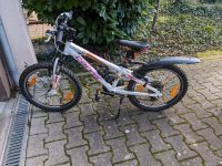 20" Fahrrad Rheinland-Pfalz - Nackenheim Vorschau