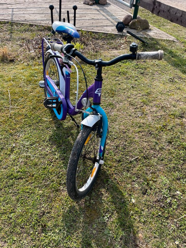 Mädchenfahrrad 18“ in Salzgitter