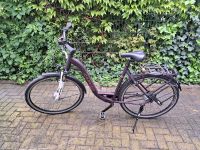 Carver Citizen 120 Damenfahrrad Nordrhein-Westfalen - Hattingen Vorschau