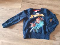 Spiderman Pullover 110 Schwerin - Werdervorstadt Vorschau