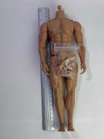 Action Figur Worldbox Body 1/6 AT027 Torso Puppe Körper Sachsen - Mittweida Vorschau