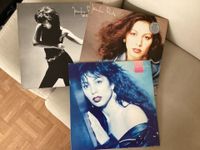 3 LPs von Jennifer Rush nur 13 Euro ❗️❗️ Hessen - Lauterbach (Hessen) Vorschau