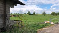 Sommerweide / Rentnerplatz / Weideplatz zu vergeben (Sahms) Herzogtum Lauenburg - Schwarzenbek Vorschau