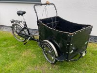 Lastenrad Lastenfahrrad, deutliche Gebrauchsspuren Brandenburg - Schöneiche bei Berlin Vorschau