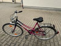 Damen Fahrrad Rex München - Maxvorstadt Vorschau