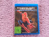 Spiderman Trilogie Bayern - Arnstein Vorschau