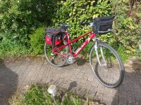 Damenfahrrad Trekkingrad 26 Zoll Rheinland-Pfalz - Kaiserslautern Vorschau