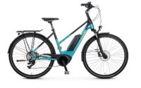 E-Bike Kreidler Vitality Eco 3 Sport,55cm, Deore10-Gang,500W/h Dithmarschen - Wesselburen Vorschau