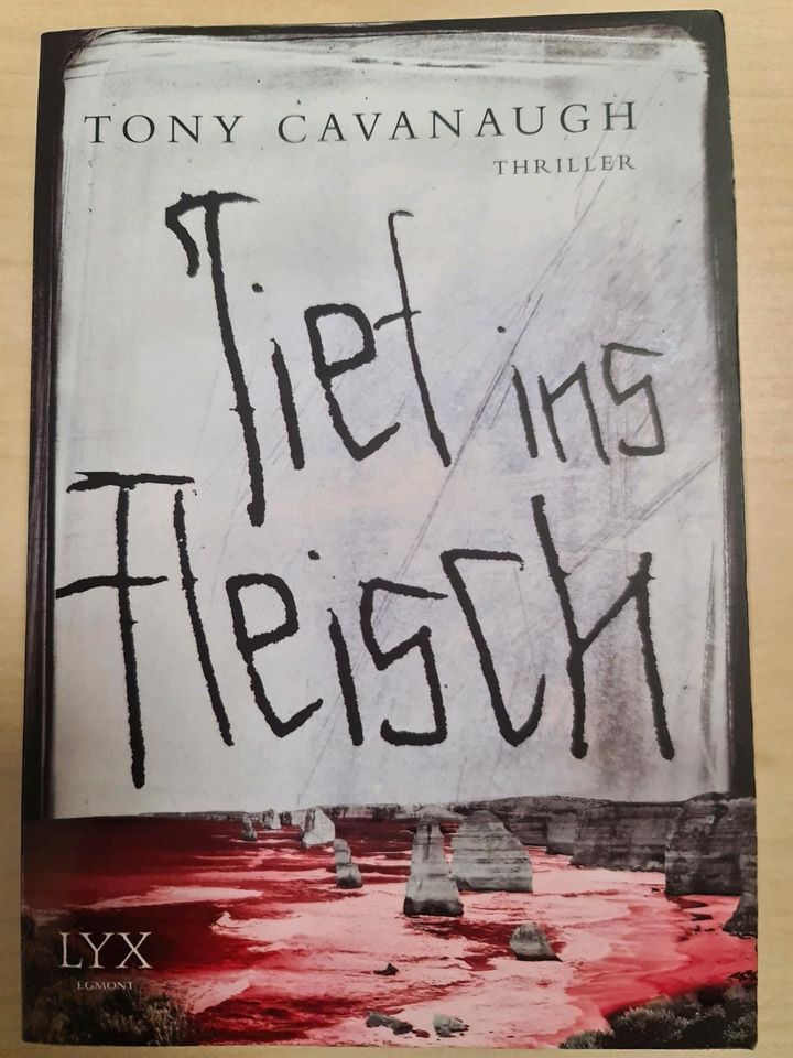 Thriller von Tony Cavanaugh: Tief ins Fleisch in Bad Kreuznach