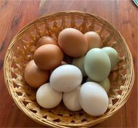 Eier von Freilandhühnern aus Niedernhausen Hessen - Niedernhausen Vorschau