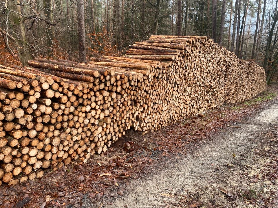 Brennholz Fichte in Hirzenhain