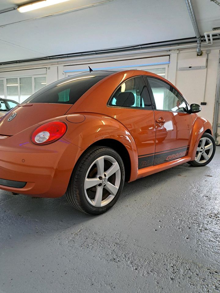 VW New Beetle| 1.9 TDI| Scheckheft| TÜV/AU neu| *Garantie* in Fürth